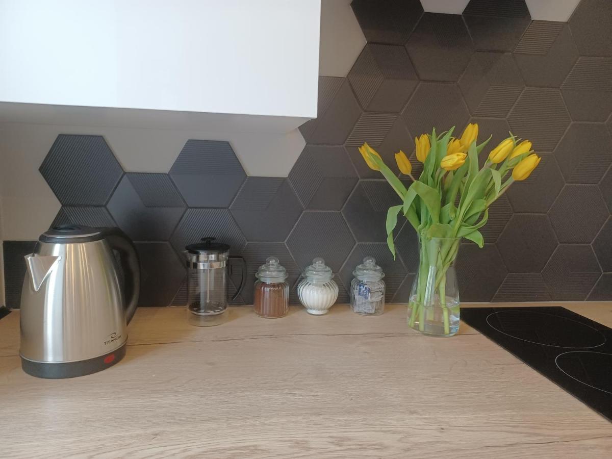 Apartament Piotrkowska 37 Studio Λοτζ Εξωτερικό φωτογραφία